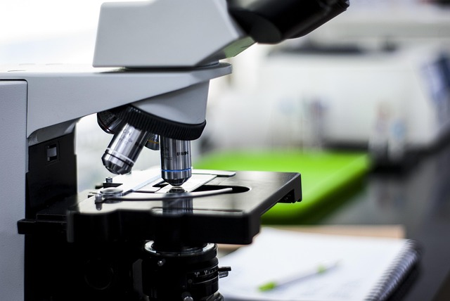 研究聚氨酯彈性體不發(fā)泡催化劑的分子結(jié)構(gòu),以精確控制凝膠反應(yīng)的速率。