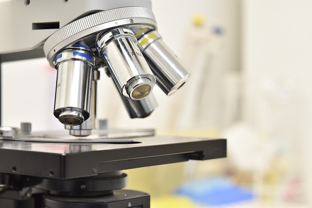 氨基聚醚作為聚氨酯催化劑和擴鏈劑在聚氨酯泡沫中的應用