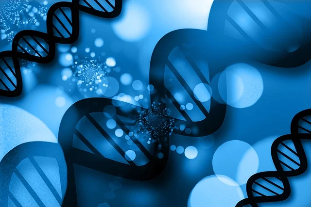 探究聚氨酯高回彈聚醚對聚氨酯泡沫固化速度和加工窗口的調控作用